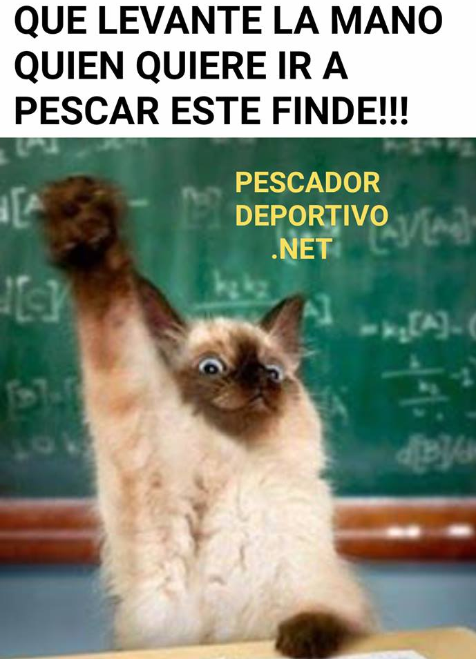 Meme Pesca 12