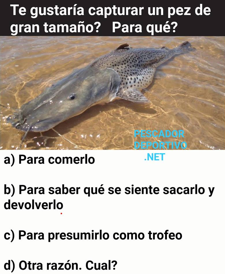 Meme Pesca 16