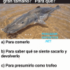 Meme Pesca 16