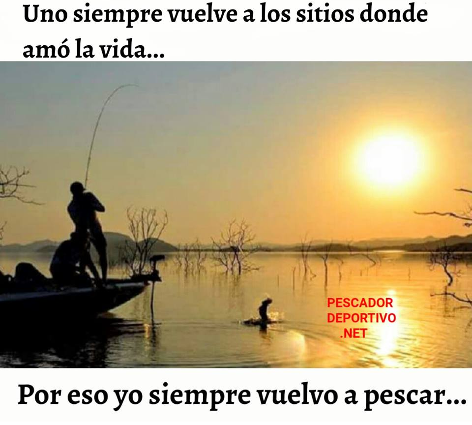 Meme Pesca 19