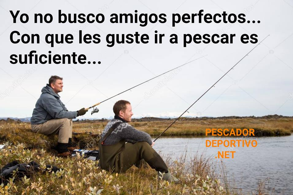 Meme Pesca 28