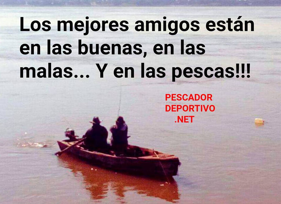Meme Pesca 41