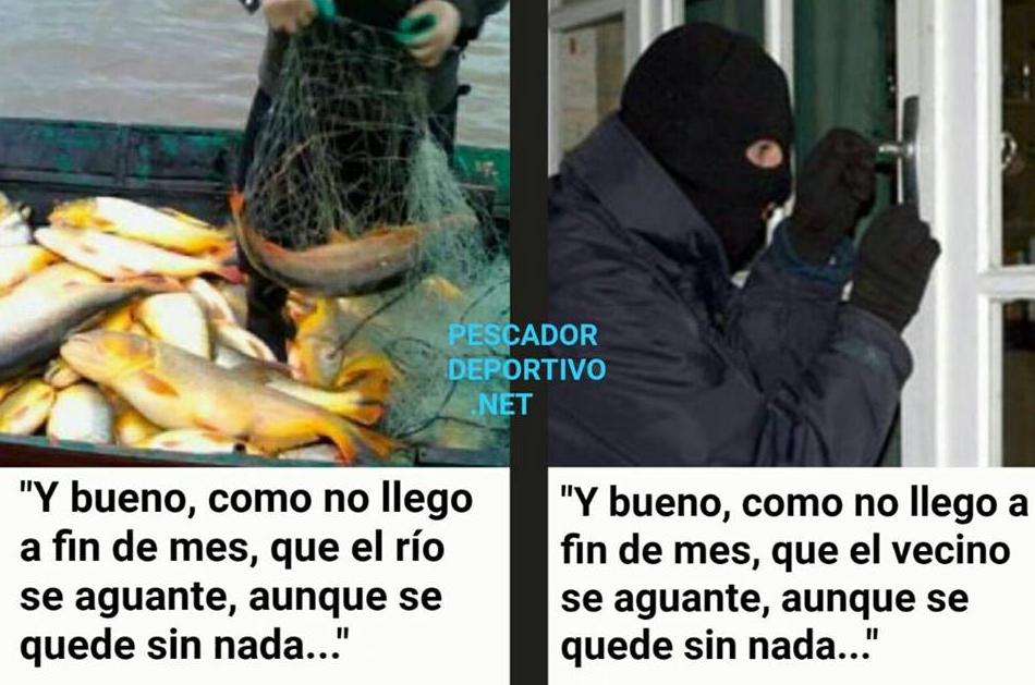 Meme Pesca 6