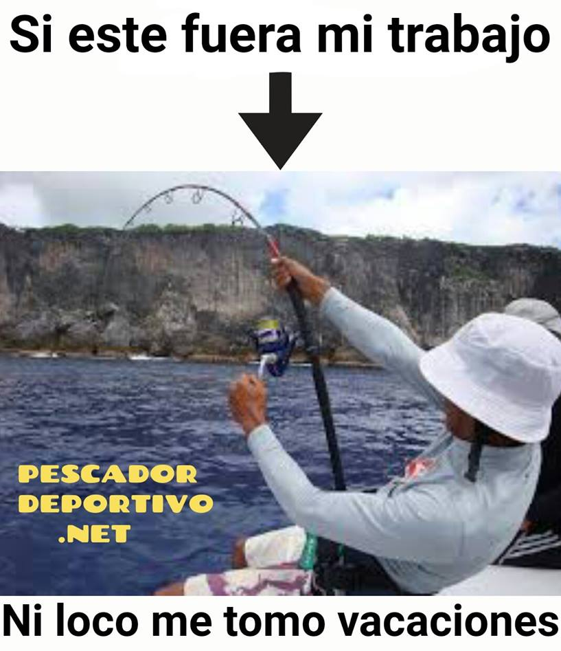 Meme Pesca 61