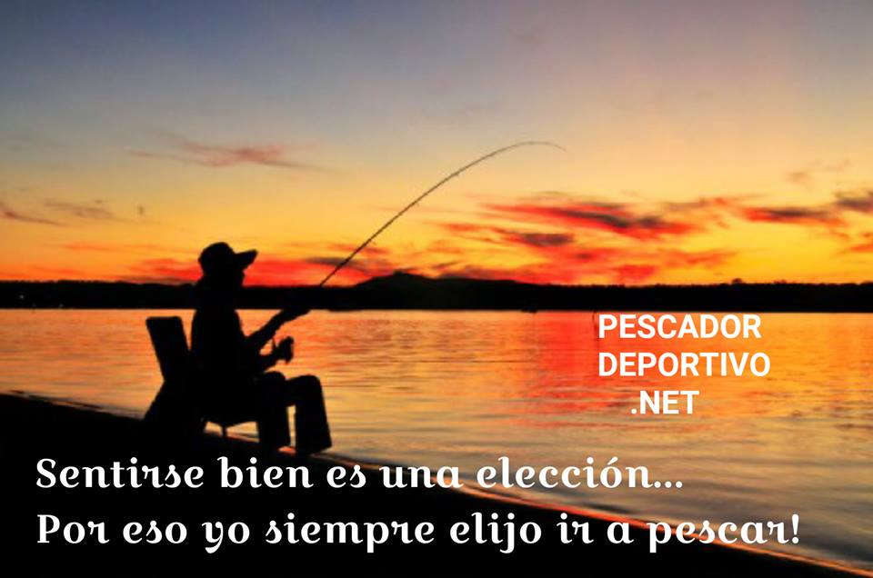 Meme Pesca 63