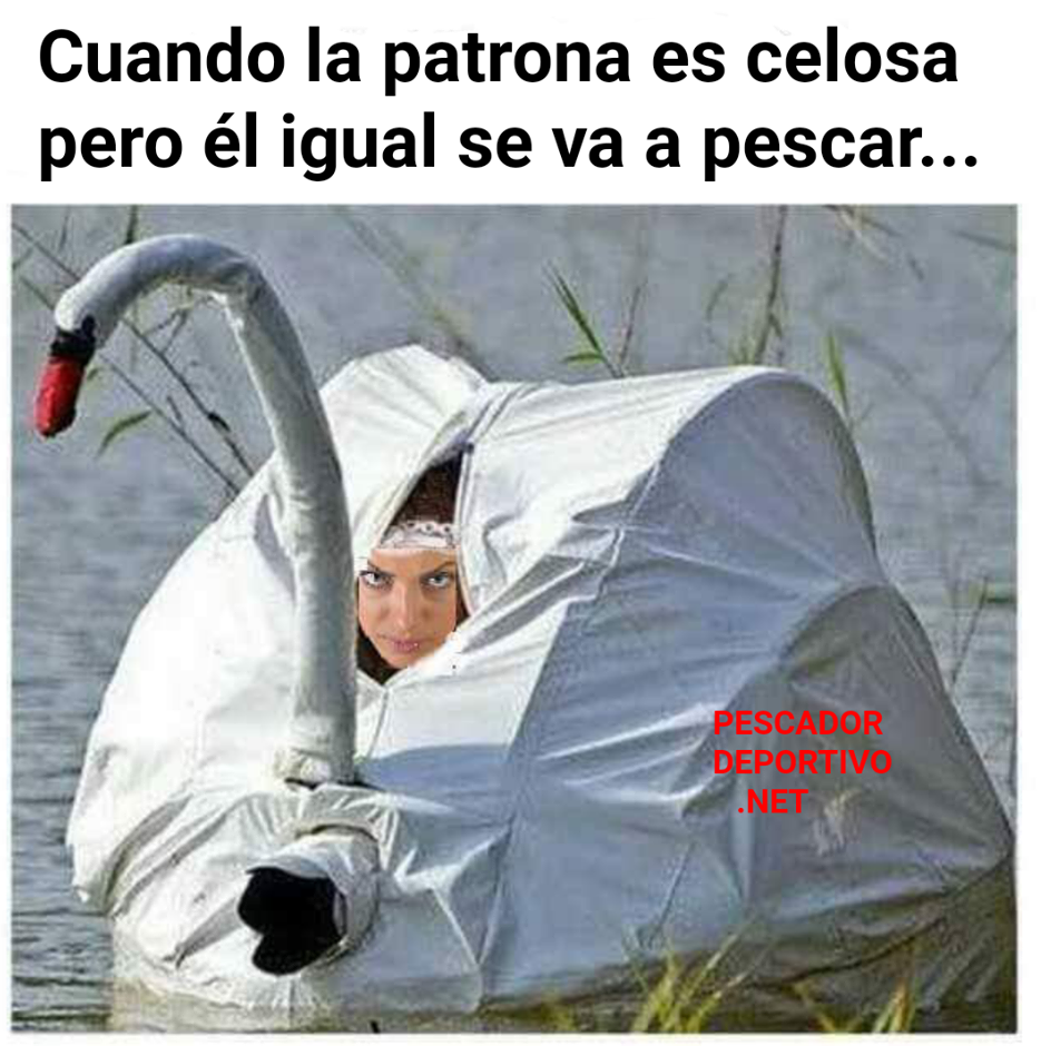 Meme Pesca 9