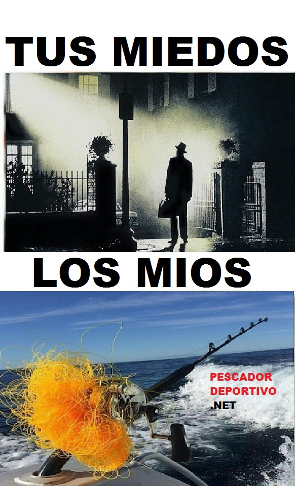 MIEDOS PESCA