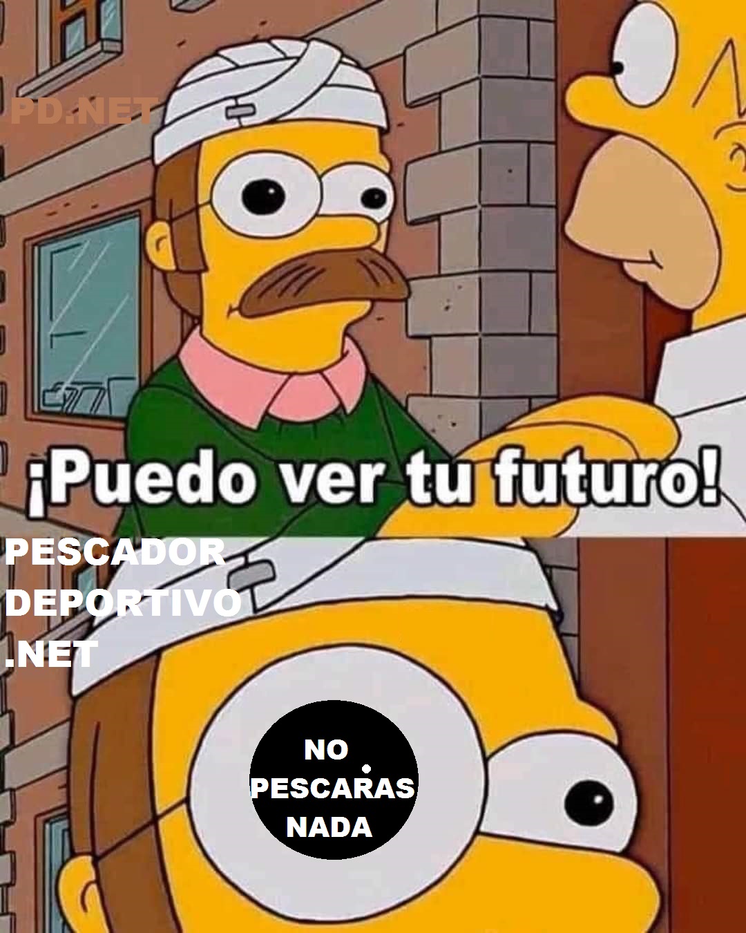 NO PESCARAS NADA