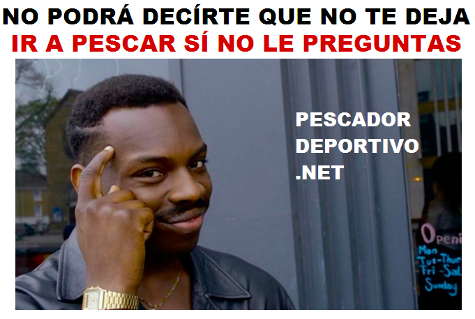 NO PODRÁ DECÍRTE QUE NO