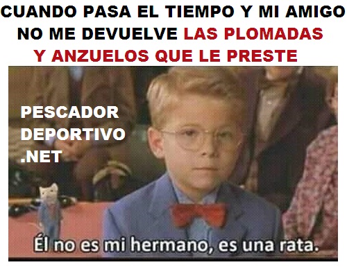 Pasa el tiempo y no devuelve plomadas