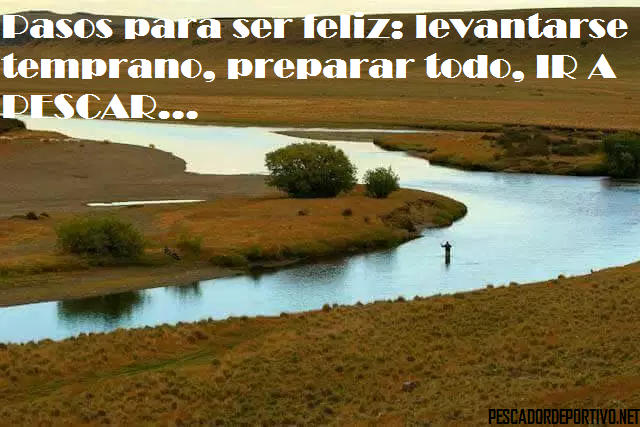 Pasos felicidad - copia