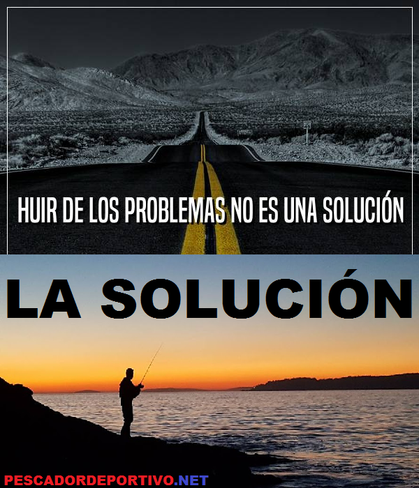Pesca Solucion