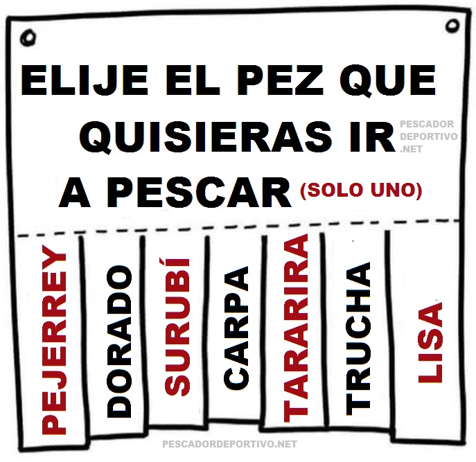 PEZ PESCAR