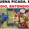 PICADA PESCA