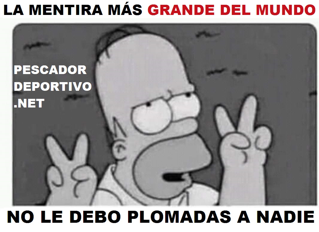 PLOMADAS A NADIE