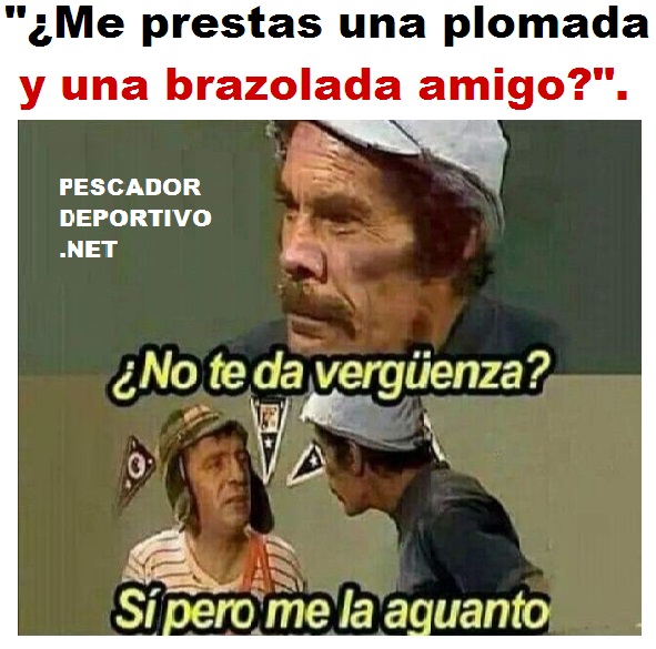 Prestas plomada y brazolada