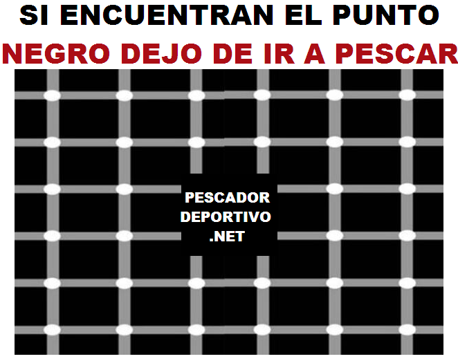 PUNTO NEGRO