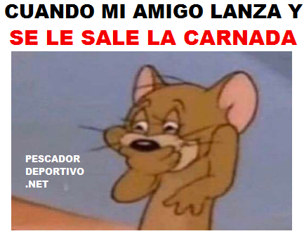 SALE CARNADA