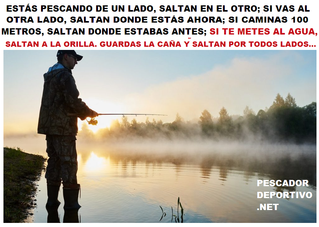 SALTAN POR TODOS LADOS