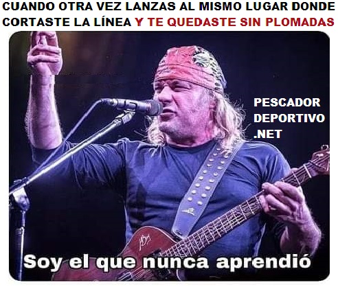 SOY EL QUE NUNCA APRENDIO PLOMADAS