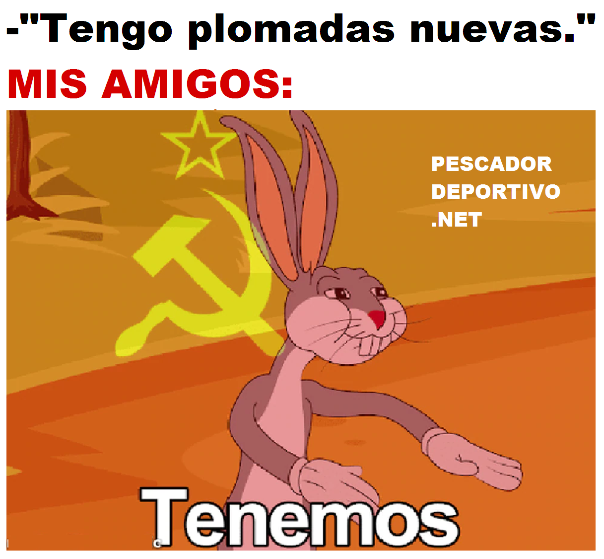 TENEMOS PLOMADAS