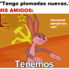 TENEMOS PLOMADAS