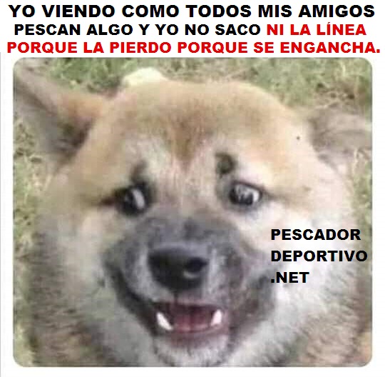 Todos pescan