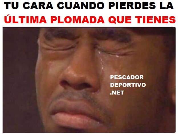 ULTIMA PLOMADA