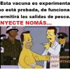 VACUNA PESCA