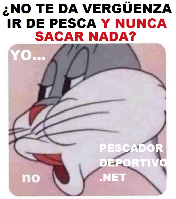 VERGUENZA NO PESCAR