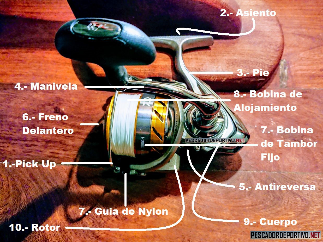 Las Partes del Reel Frontal – PESCADOR DEPORTIVO