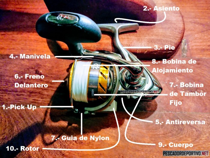 Reel Frontal - Partes.jpg