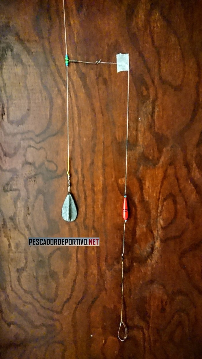 Seccion anti-descarnadores