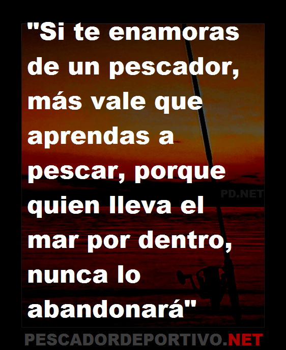 Frase 11