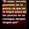 Frase 13