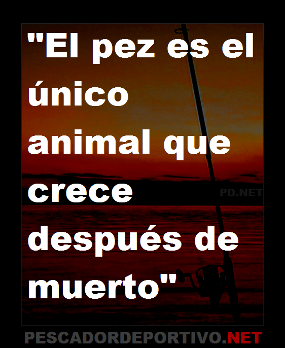 Frase 15