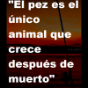 Frase 15