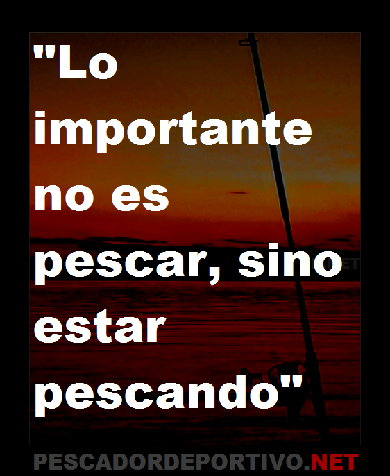 Frase 16