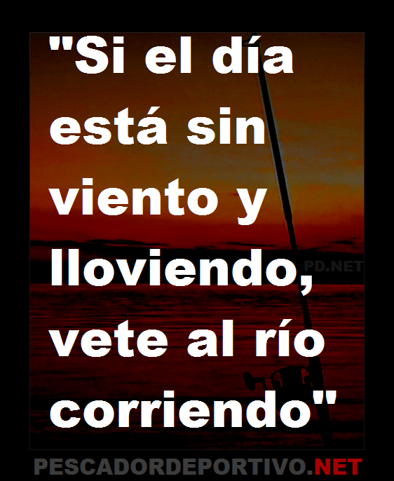 Frase 20