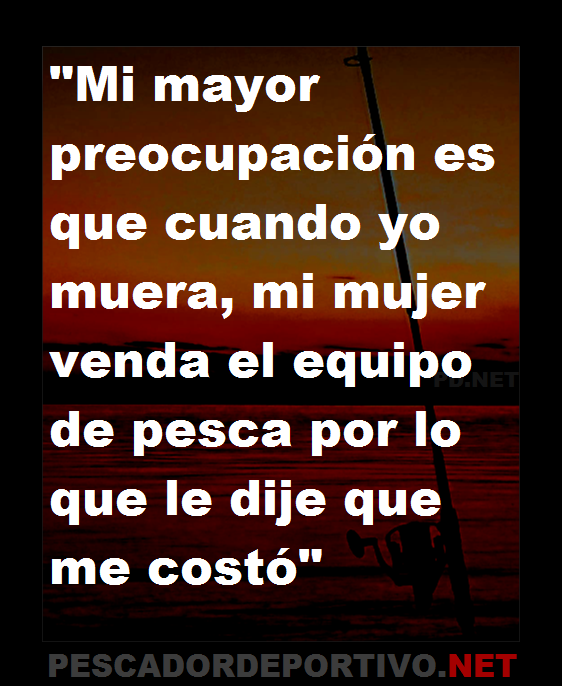 Frase 6