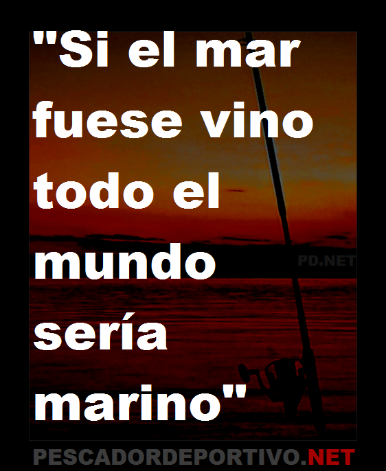 Frase 7
