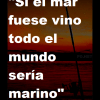 Frase 7