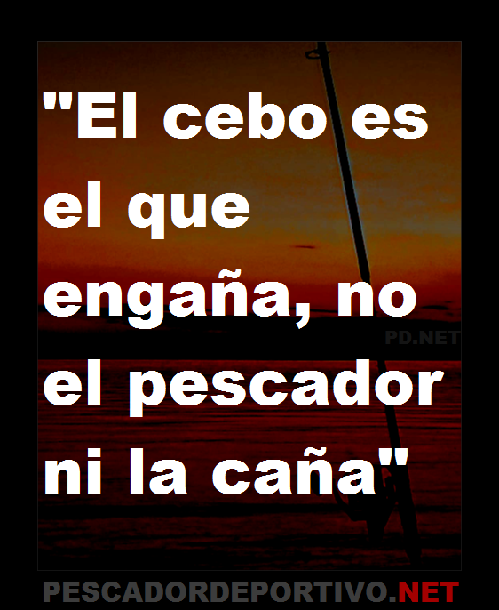 Frase 8