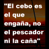 Frase 8