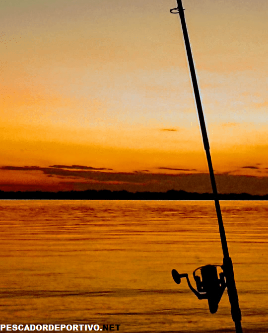 Pesca al Curricán o Trolling
