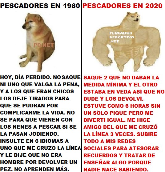 1591837142323_perro musculoso 34612182283065604344..png