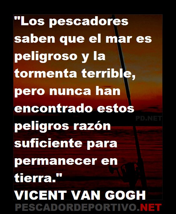 1592409508910_frase 328119195558537790666..png