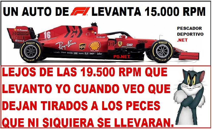 auto f11317031666199302070..jpg