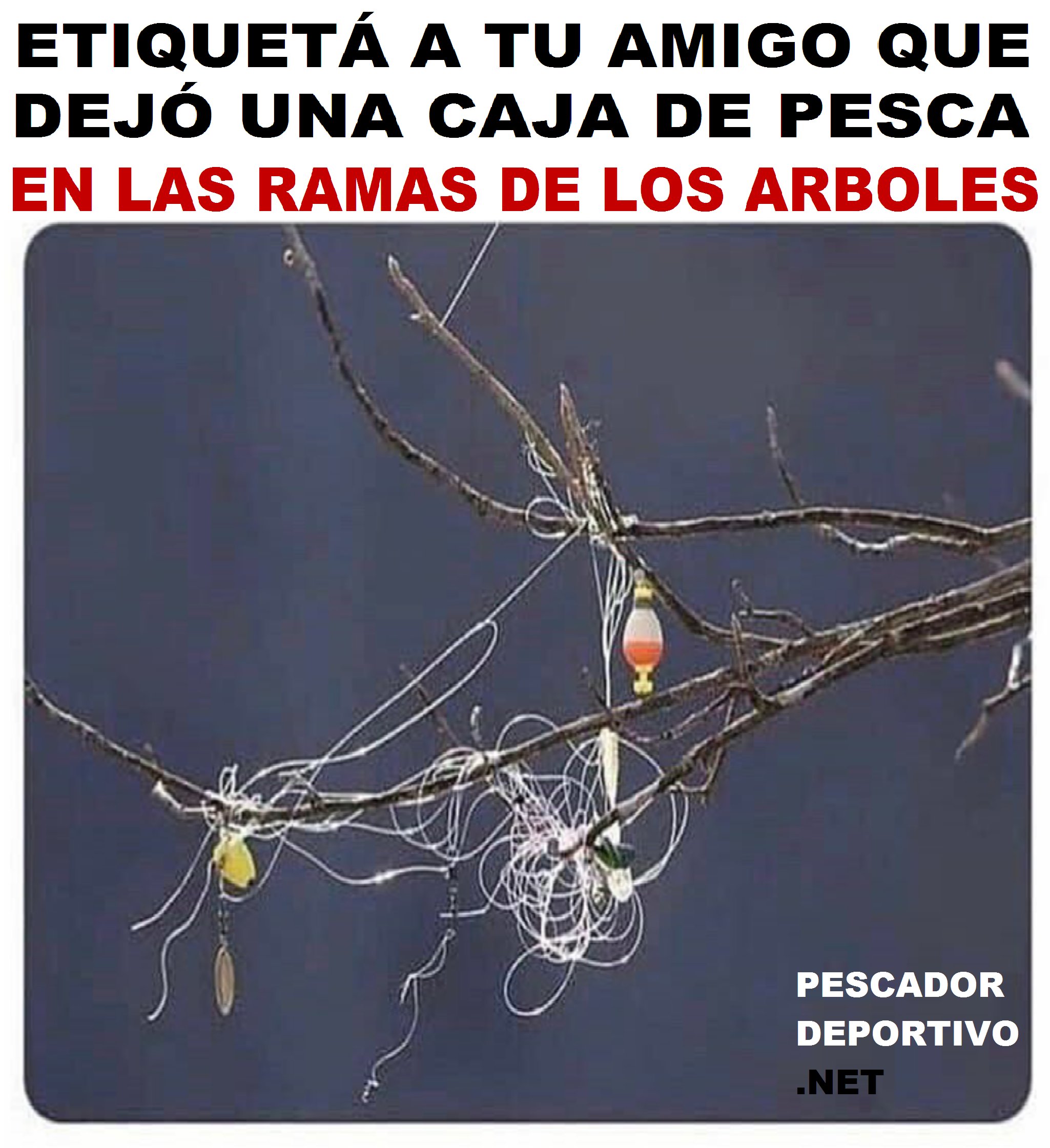 caja de pesca en ramas5089040286603522188..png