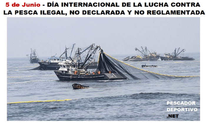 DIA INTERNACIONAL LUCHA CONTRA PESCA ILEGAL
